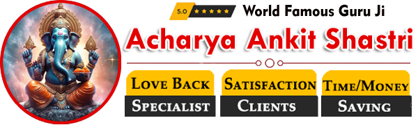 Acharya Ankit Shastri  +91-7986001602